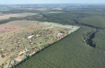 Seleon-comemora-dez-anos-e-a-marca-de-5-milhões-de-doses-de-sêmen-bovino-2
