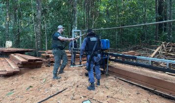Operação Amazônia no Parque Cristalino