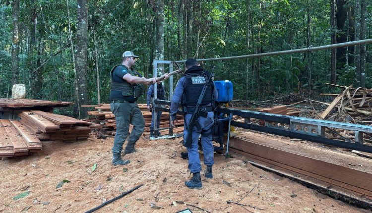 Operação Amazônia no Parque Cristalino