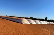 Venda recorde de silo-bolsa ajuda a amenizar o déficit de armazenamento no Brasil
