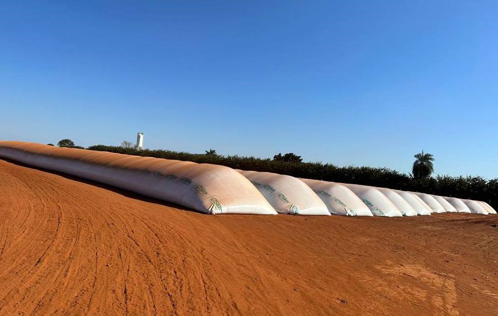 Venda recorde de silo-bolsa ajuda a amenizar o déficit de armazenamento no Brasil