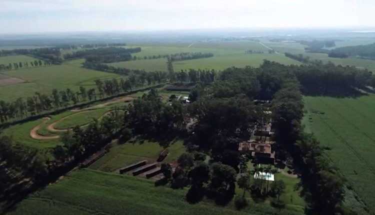 Vista aérea da fazenda Flor Roxa, dos produtores César Vellini e Vitor Vellini, pai e filho