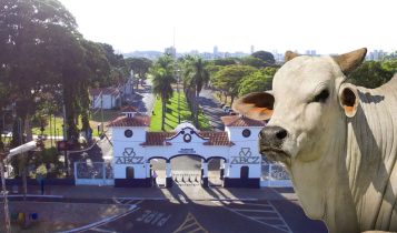 Conheça a Capital do Zebu, o berço da pecuária zebuína do mundo