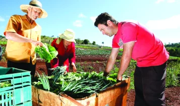 Aprovada inclusão da agricultura familiar em fundo garantidor; texto vai a sanção