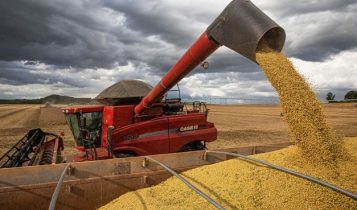 Colheita de milho na Argentina alcança 28% e de soja atinge 4,9%, diz bolsa