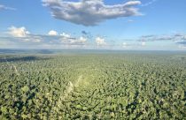 Dono de quatro fazendas no Pará, investe  pesado no mercado de carbono