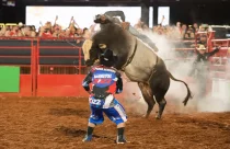 Touros mais temidos dos rodeios de Barretos e seus valores