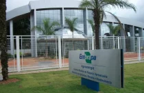 concurso da embrapa
