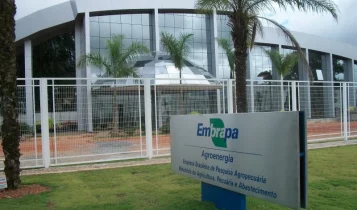 concurso da embrapa