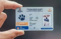 ‘RG animal’: registro passa a ser obrigatório por lei
