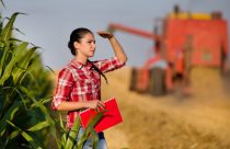 Agro coloca 28,1 milhões de brasileiros no mercado de trabalho