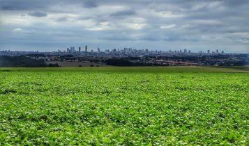 Intensificar e diversificar ao mesmo tempo é aumentar a eficiência agrícola