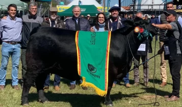 Mano Menezes volta a conquistar título de bovinos na Expointer