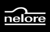 Criador da marca Nelore morre aos 88 anos