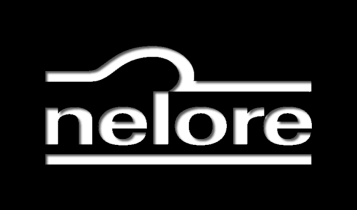 Criador da marca Nelore morre aos 88 anos