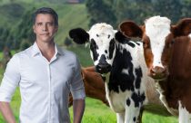 marcio garcia e ONG mercy for animals - pecuaria leiteira