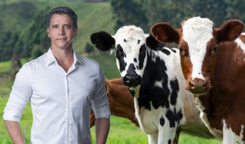 marcio garcia e ONG mercy for animals - pecuaria leiteira