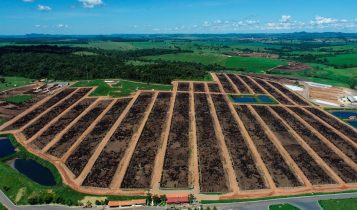 Maior pecuarista da América Latina, Júnior Friboi, confina 200.000 bovinos