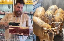 roberto barcellos - boi 888