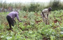 roteiro_camabatela_fazenda-canvula-em-camabatela_santos-pedro_jaimagens