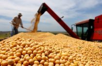safra de soja 2024 - Biofertilizante de Hidrólise Enzimática