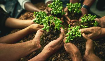 agricultura familiar