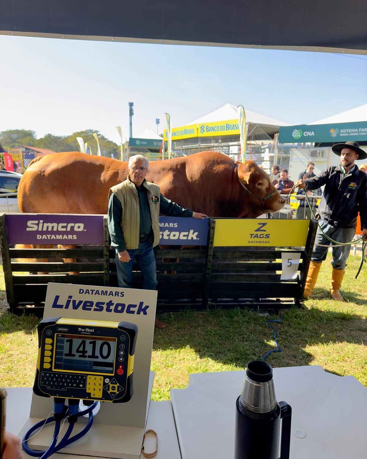 touro-Hudson-da-Boa-Esperança-raça-limousin-expointer-2023-3