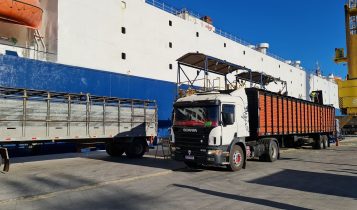 Porto embarca 26.379 bovinos com destino a Turquia