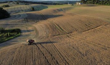 Agricultores sul-americanos dizem que lei ambiental da UE é barreira comercial disfarçada