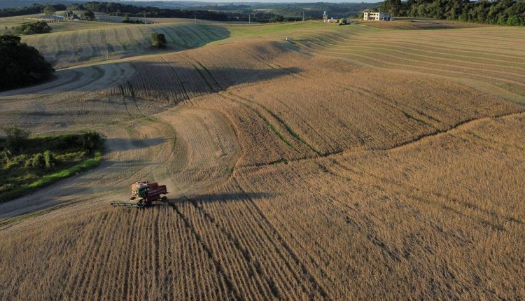 Agricultores sul-americanos dizem que lei ambiental da UE é barreira comercial disfarçada