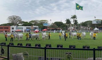 ACNB-anuncia-abertura-de-inscricoes-para-a-52-Expoinel-em-Uberaba-MG-foto-divulgacao