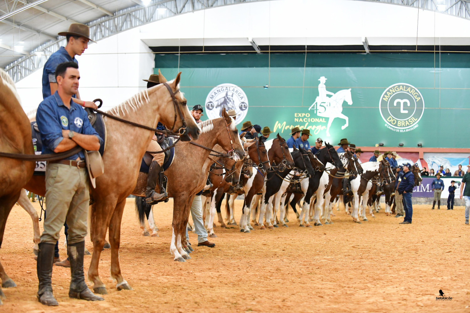 Associação Brasileira de Criadores de Cavalos da Raça Mangalarga