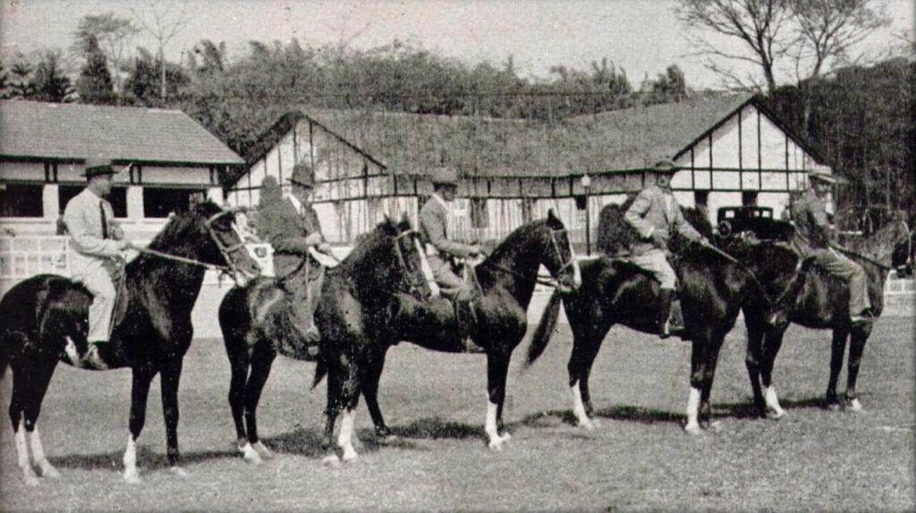 Associação Brasileira de Criadores de Cavalos da Raça Mangalarga