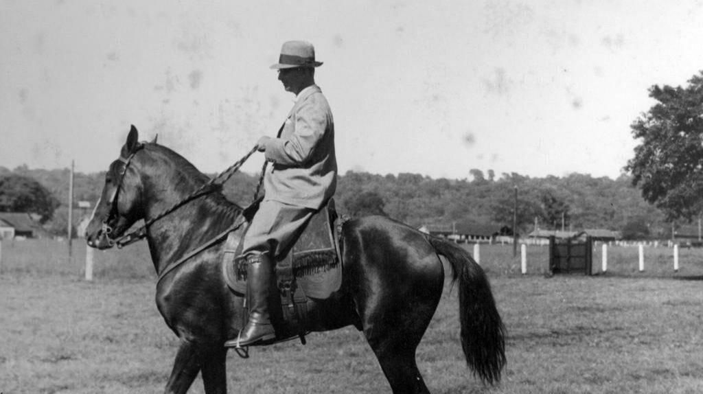 Associação Brasileira de Criadores de Cavalos da Raça Mangalarga