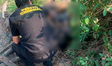 Calorão de ‘derreter’ destrói hortaliças e deixa pequeno produtor no prejuízo em Campo Grande