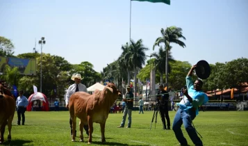 ExpoBrahman