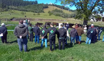 Pecuária de corte catarinense