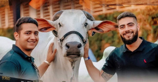 Fazenda Terra Prometida de Henrique e Juliano