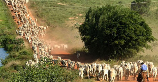 Fazenda do Lula