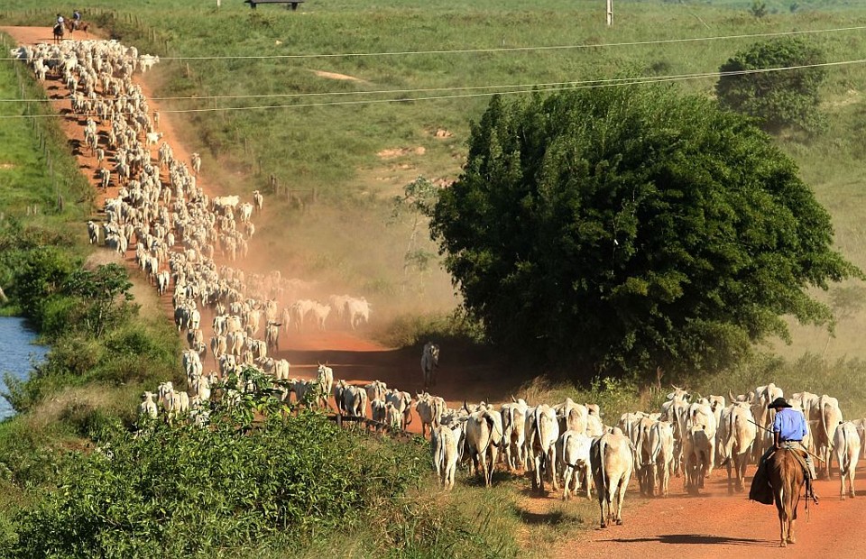 Fazenda do Lula