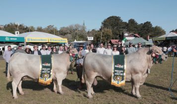 Grandes campeões e a família Murray Grey - Expointer 2023