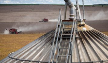 Com 100 cartas-consulta deferidas, valor aprovado para FCO Rural em setembro chega a R$ 135,4 milhões