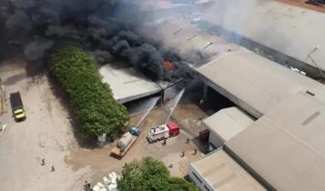 Gigante do algodão pega fogo com calor intenso em MT; vídeo