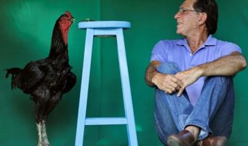 Galo gigante de avicultor brasileiro se transforma em negócio lucrativo