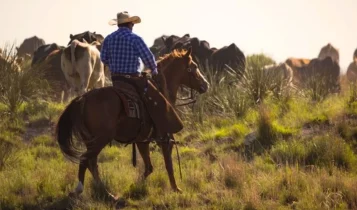 Por ao menos US$ 80 milhões, cowboys milionários põem à venda ranchos icônicos nos EUA