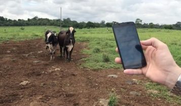 Aplicativo da Embrapa facilitará o trabalho de produtores orgânicos