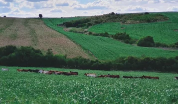 produtividade e sustentabilidade na lavoura