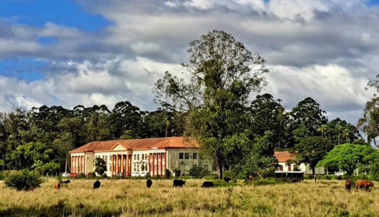 Instituto de Pesquisas Veterinárias completa 75 anos e é referência em sanidade animal Instituto de Pesquisas Veterinárias completa 75 anos e é referência em sanidade animal