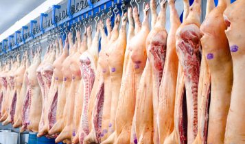 carne suína