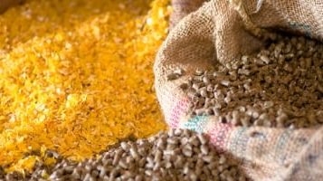 Sindirações divulga resultado do primeiro semestre de 2023 da indústria de Alimentação Animal